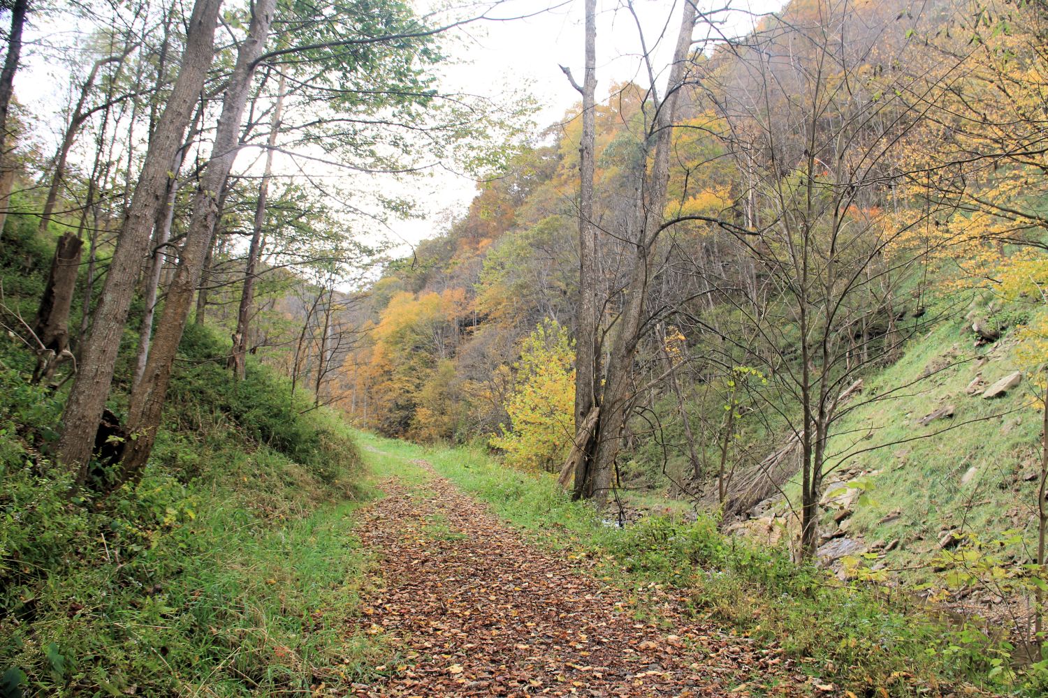 Glade Creek Trail 